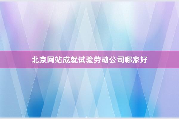 北京网站成就试验劳动公司哪家好